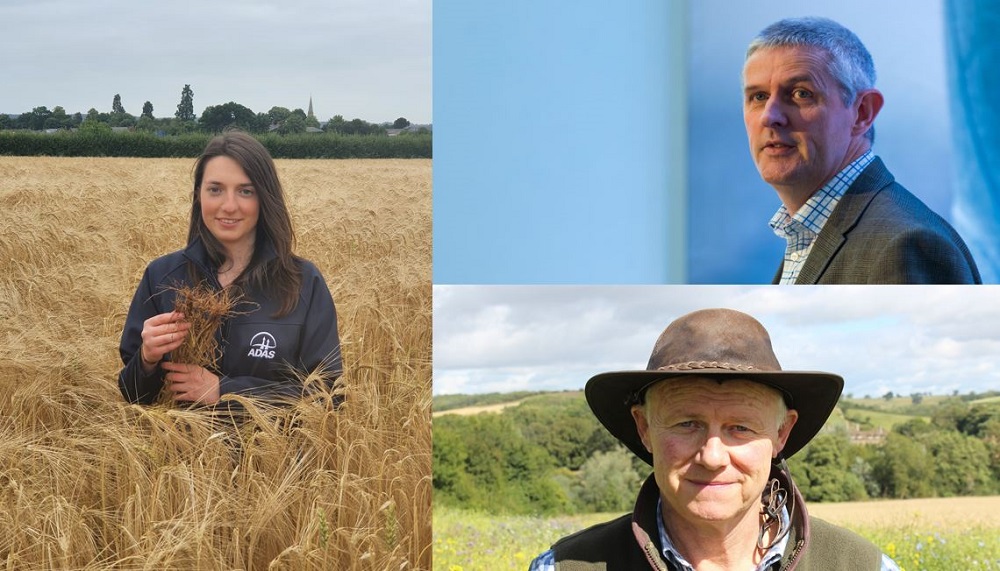 Headshots of presenters that discussed IPM at the 2021 Agronomists' Conference